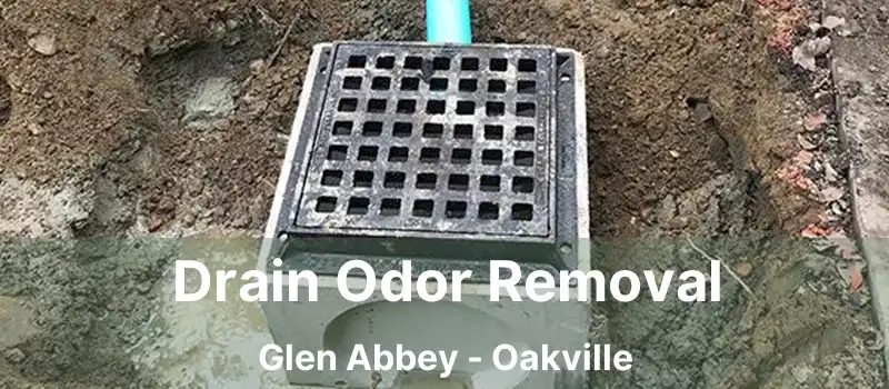  Drain Odor Removal Glen Abbey - Oakville